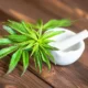 Manfaat Ganja Medis dan Efek Sampingnya bagi Kesehatan